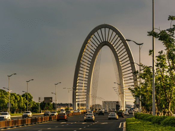 zabeel district